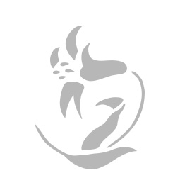 Menu Icon