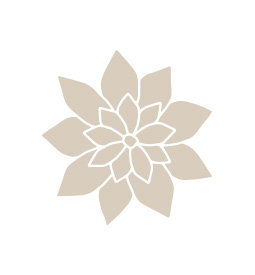 Menu Icon