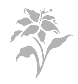 Menu Icon